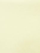 сорочечная